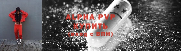 PSILOCYBIN Ладушкин