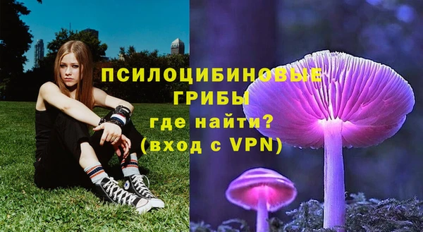 бошки Лихославль
